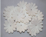 AS4E - 32mm White Daisy 